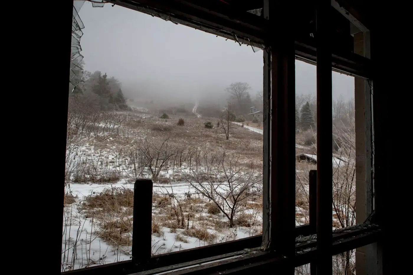 IMG_1833.jpg